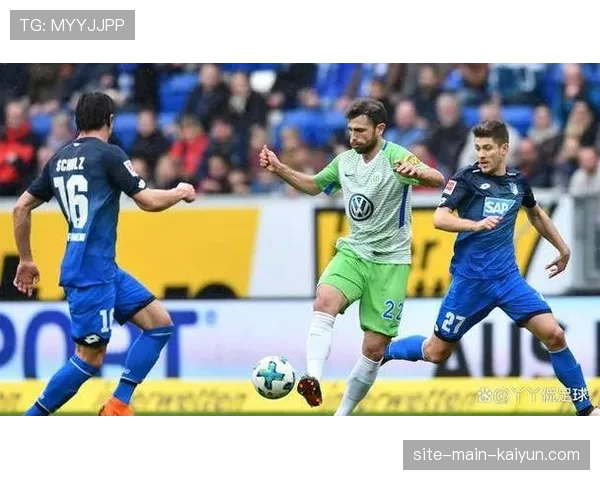 霍芬海姆中场阿夫杜拉胡肌肉挫伤，詹德雷踝关节伤势恢复中